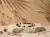 51634..webp