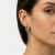 1a.webp